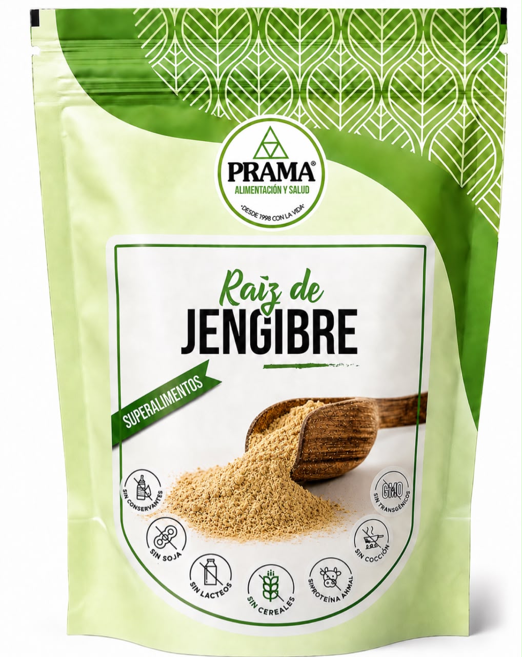 Raíz de Jengibre en polvo (100 g)